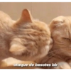 Michis tiernos hechos de amor 27