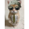 ANIME ANOMALI  6