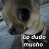 Reacciones Perrunas 2🐶✨ 14