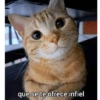 que se te ofrece infiel