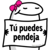 🌈 Flork Frases 4 🧦 6