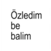 Özledim be balim