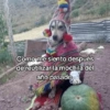 🍃🐶🧿 Perro Chamán 🧿🐶🍃 13
