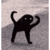 Cat meme 15