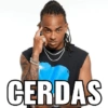 CERDAS