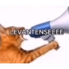 LEVANTENSEEEE