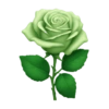 Emoji iPhone verde 24