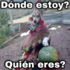 Dónde estoy? Quién eres?
