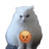 🌈🐈‍⬛✨️Gatos Funny Mood✨️🐈‍⬛🌈 20