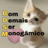 Gatinhos fofos  11