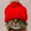 😻Gatitos Navideños🎄 22