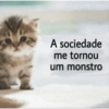 Gatinhos fofos  6