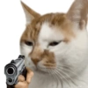 Kucing anomali 11