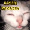BOM DIA COM MEMES ☕️🤣 6