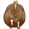 Caballo gordo random 🐴 13