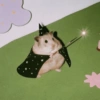 Animalitos chiquitos🫶🏻 8