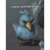 Te observamos 👀 animal mirando 20