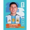 Argentina fútbol ⚽️Estampas 8