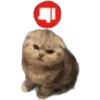 🌈🐈‍⬛✨️Gatos Funny Mood✨️🐈‍⬛🌈 25