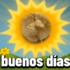 Gatos Pal grupo👑 18