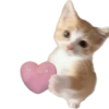 🌈🐈‍⬛✨️Gatos Funny Mood✨️🐈‍⬛🌈 30