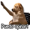 Memes Más Usados #5😎 11