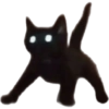 🌈🐈‍⬛✨️Gatos Funny Mood✨️🐈‍⬛🌈 9