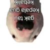 Meme random #2 10