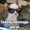 Idul Adha Meme 8