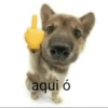 aqui ó