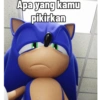 Meme Sonic Lucu 8
