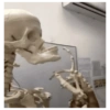 Memes e frases do esqueleto 🦴 7