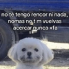 💥Chat Meme Collection💎🔝 2 10