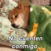 Reacciones Perrunas 2🐶✨ 8