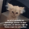 💥Chat Meme Collection💎🔝 2 14