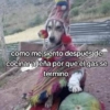 🍃🐶🧿 Perro Chamán 🧿🐶🍃 18