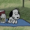 Snoopy 24