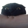 🌈🐈‍⬛✨️Gatos Funny Mood✨️🐈‍⬛🌈 14