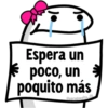 🌈 Flork Frases 4 🧦 15