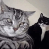 Bombastis side eye  16