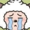 🧿Ovejita Zhihu🐑🐑 28
