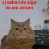 si saben de algo no me avisen