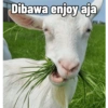 Idul Adha Meme 7