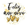 ANO NOVOOO 🥳 6