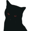🌈🐈‍⬛✨️Gatos Funny Mood✨️🐈‍⬛🌈 16