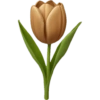Emoji iphone brown  24
