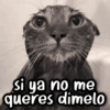 Si ya no me queres dimelo