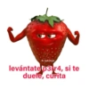 Stickers pal grupo🫂😂 13