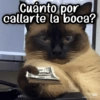 Cuánto por callarte la boca? IBH UES 小506257470
