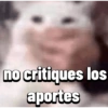 Gatos Pal grupo👑 13